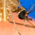 Homepage – Big Slide