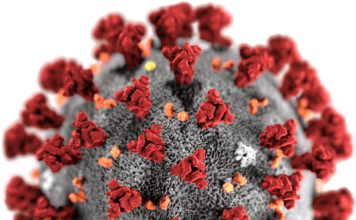 Homepage – Infinite Scroll