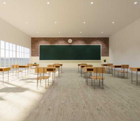 Didattica in presenza nelle scuole: come si divide la popolazione studentesca?