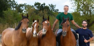 Giuseppe Colapinto intervistato da Arabian Horse Magazine