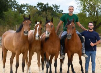 Homepage – Tech Homepage – Tech