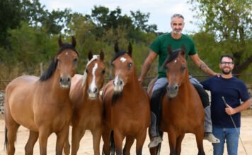 Homepage – Tech Homepage – Tech