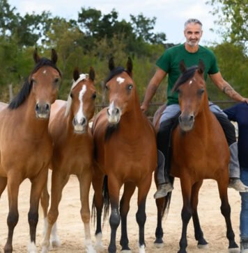 Homepage – Tech Homepage – Tech