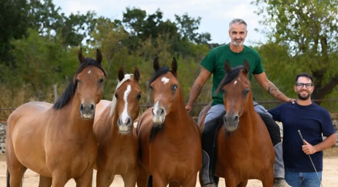 Homepage – Tech Homepage – Tech