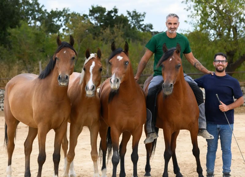 Homepage – Big Slide